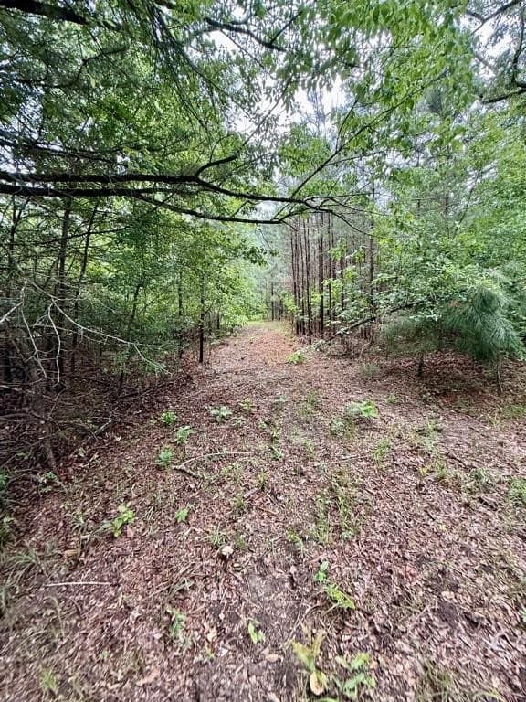 33 acres in Texas County - photo 99