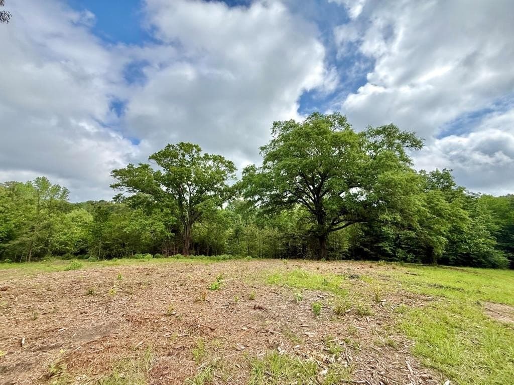 33 acres in Texas County - photo 67