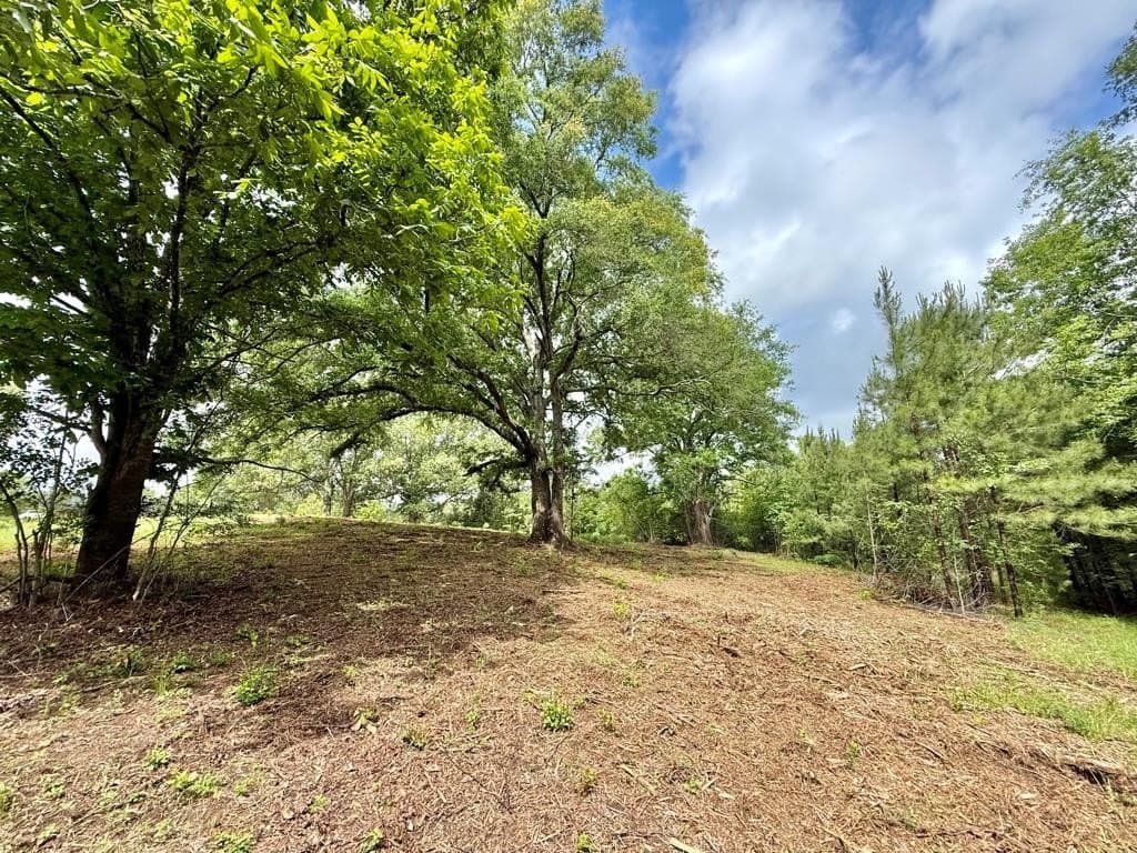 33 acres in Texas County - photo 71