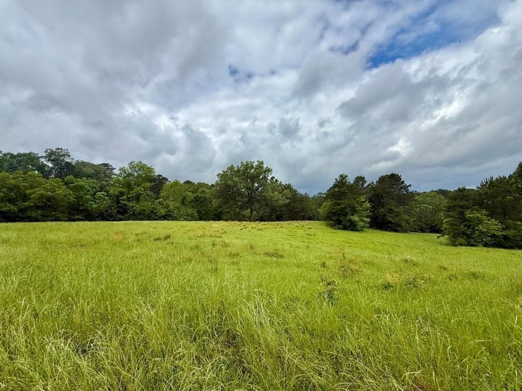 33 acres in Texas County - photo 102