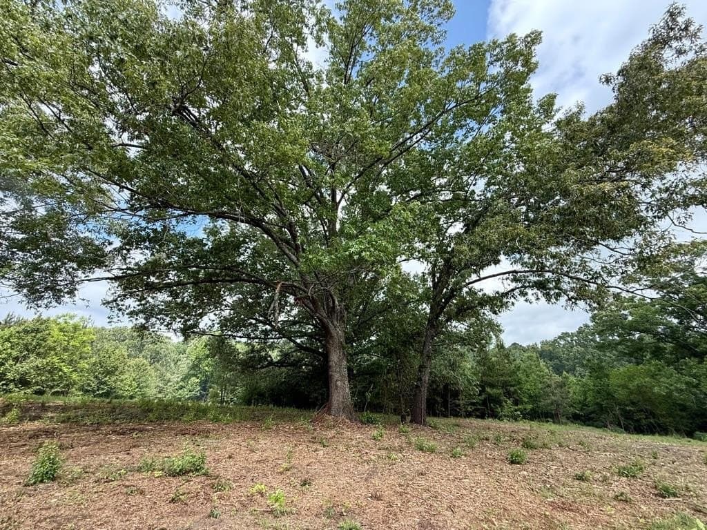 33 acres in Texas County - photo 66