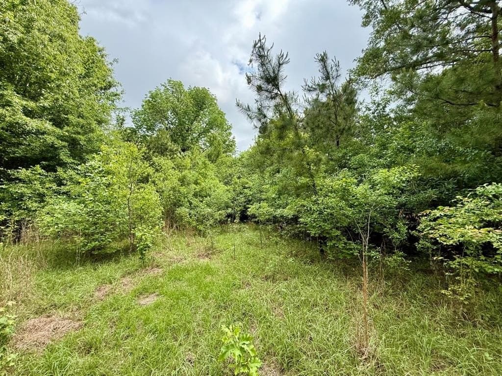 33 acres in Texas County - photo 97