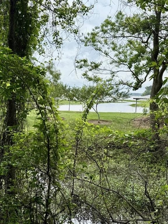 33 acres in Texas County - photo 104