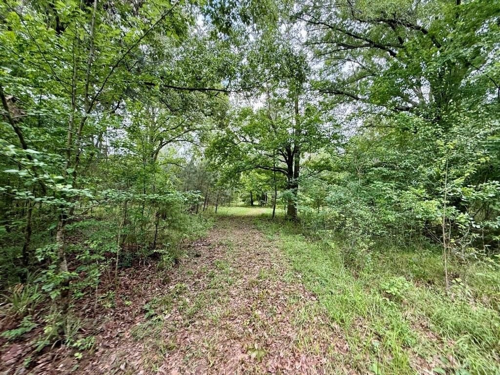 33 acres in Texas County - photo 85