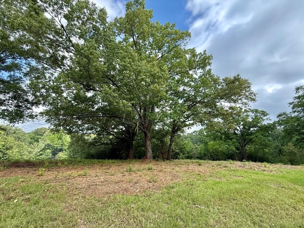 33 acres in Texas County - photo 65