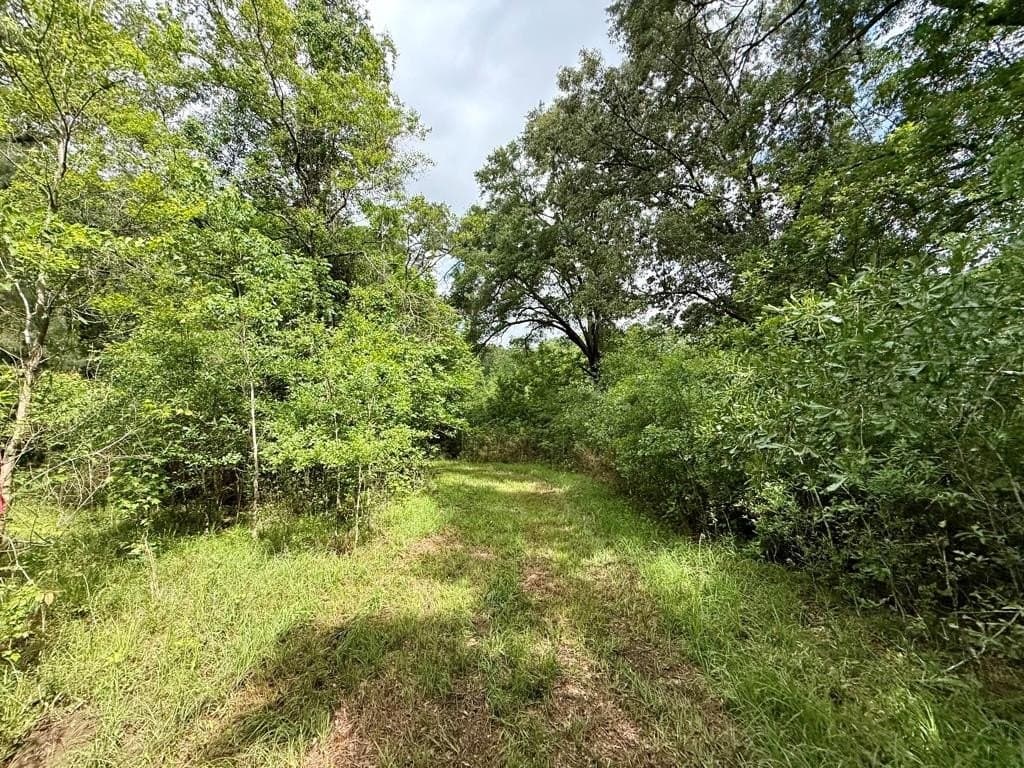 33 acres in Texas County - photo 83
