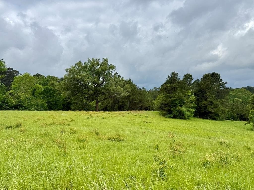 33 acres in Texas County - photo 101