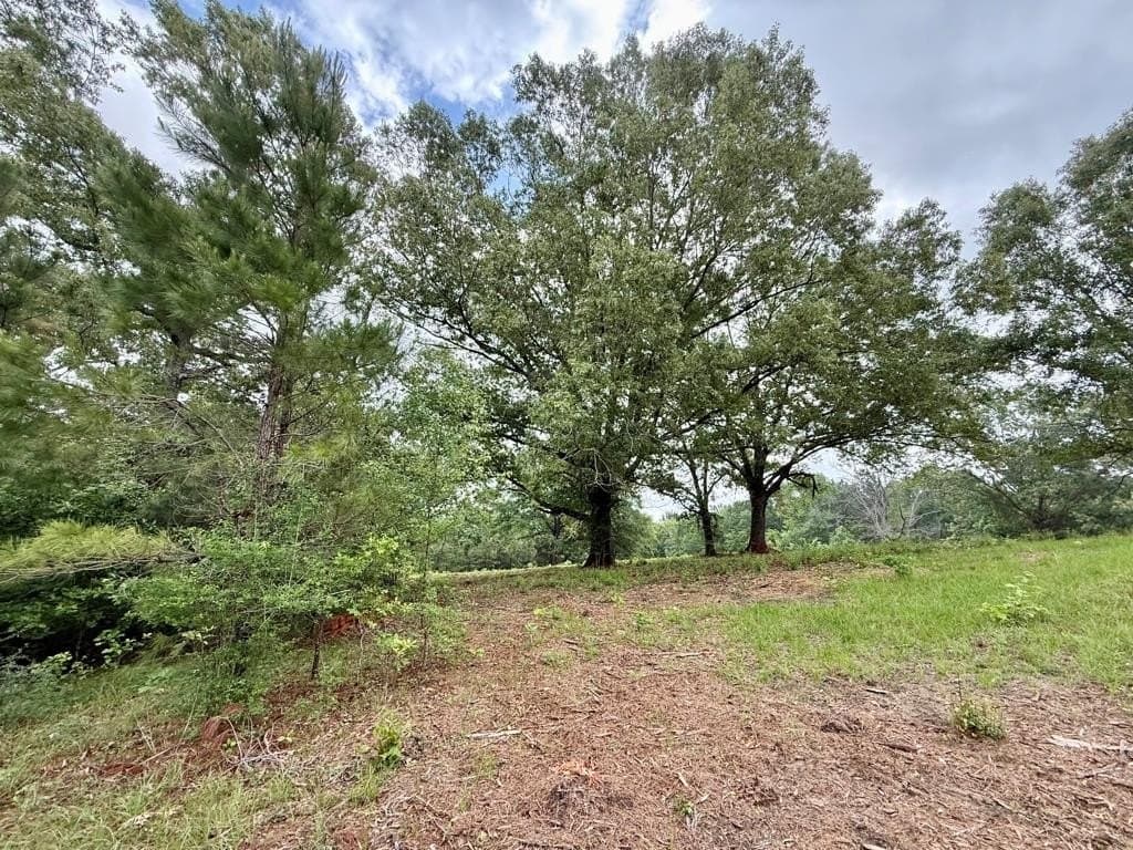 33 acres in Texas County - photo 100