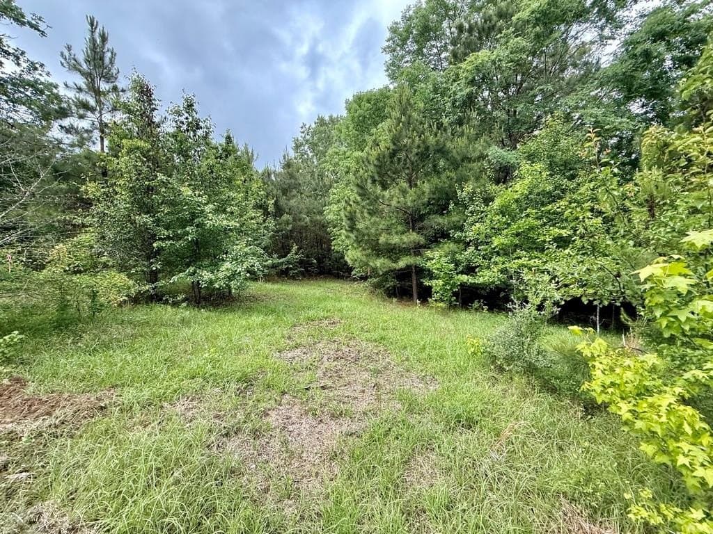 33 acres in Texas County - photo 92
