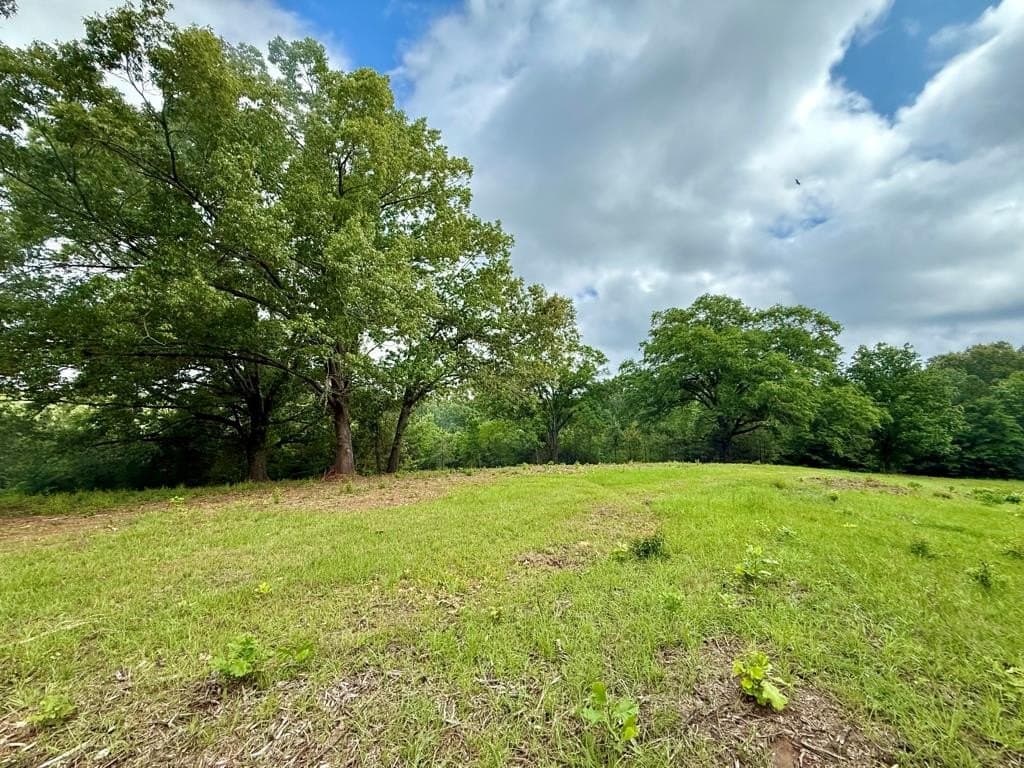 33 acres in Texas County - photo 63