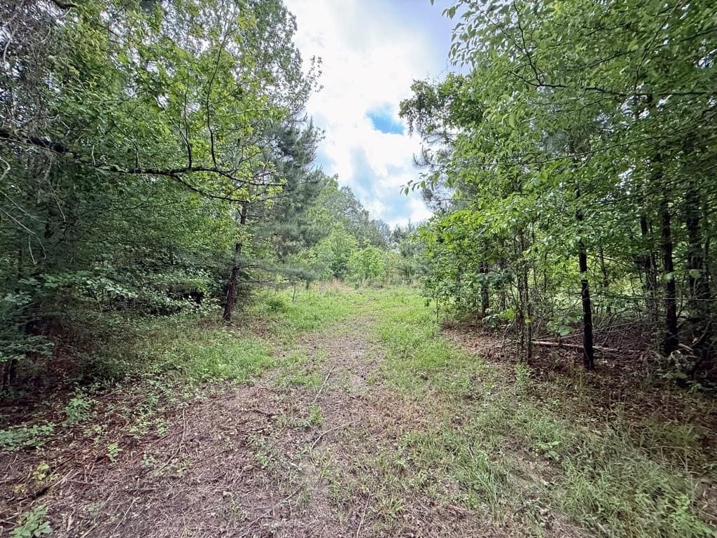 33 acres in Texas County - photo 91