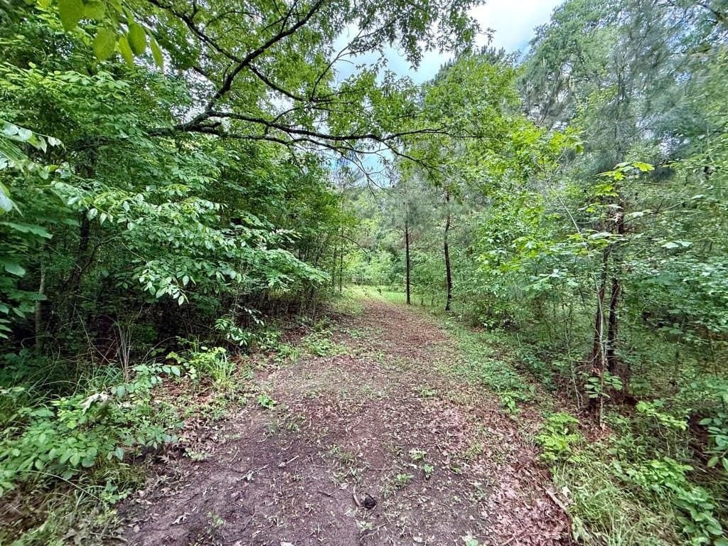 33 acres in Texas County - photo 80