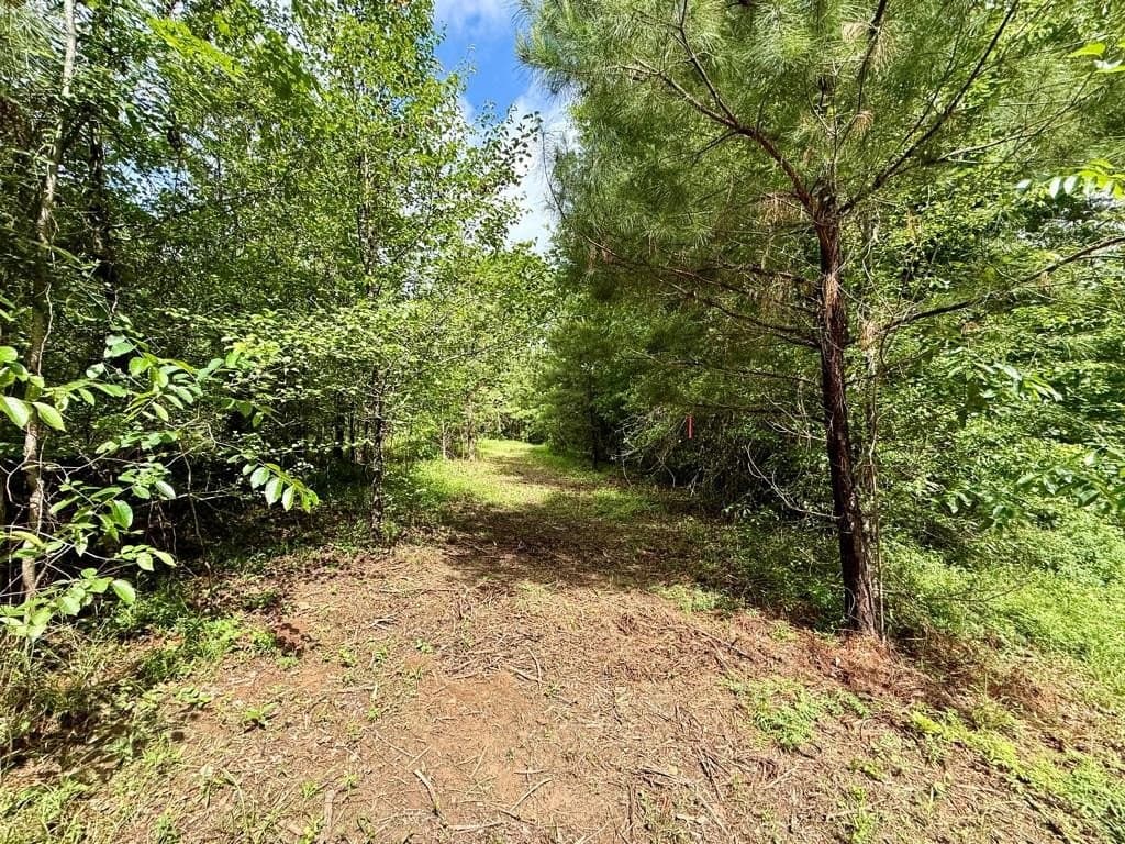 33 acres in Texas County - photo 77
