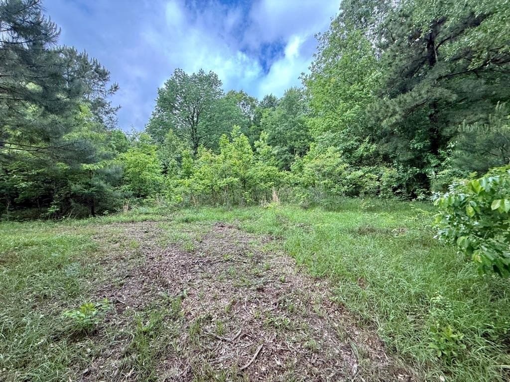 33 acres in Texas County - photo 89