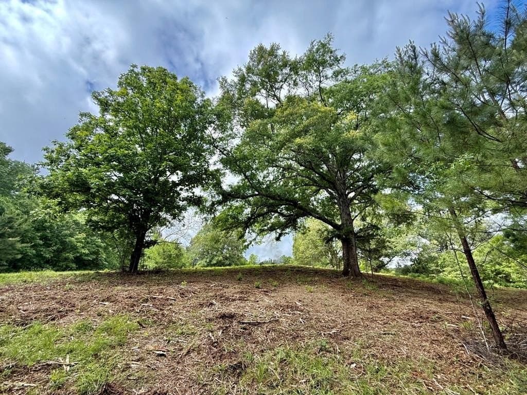 33 acres in Texas County - photo 74