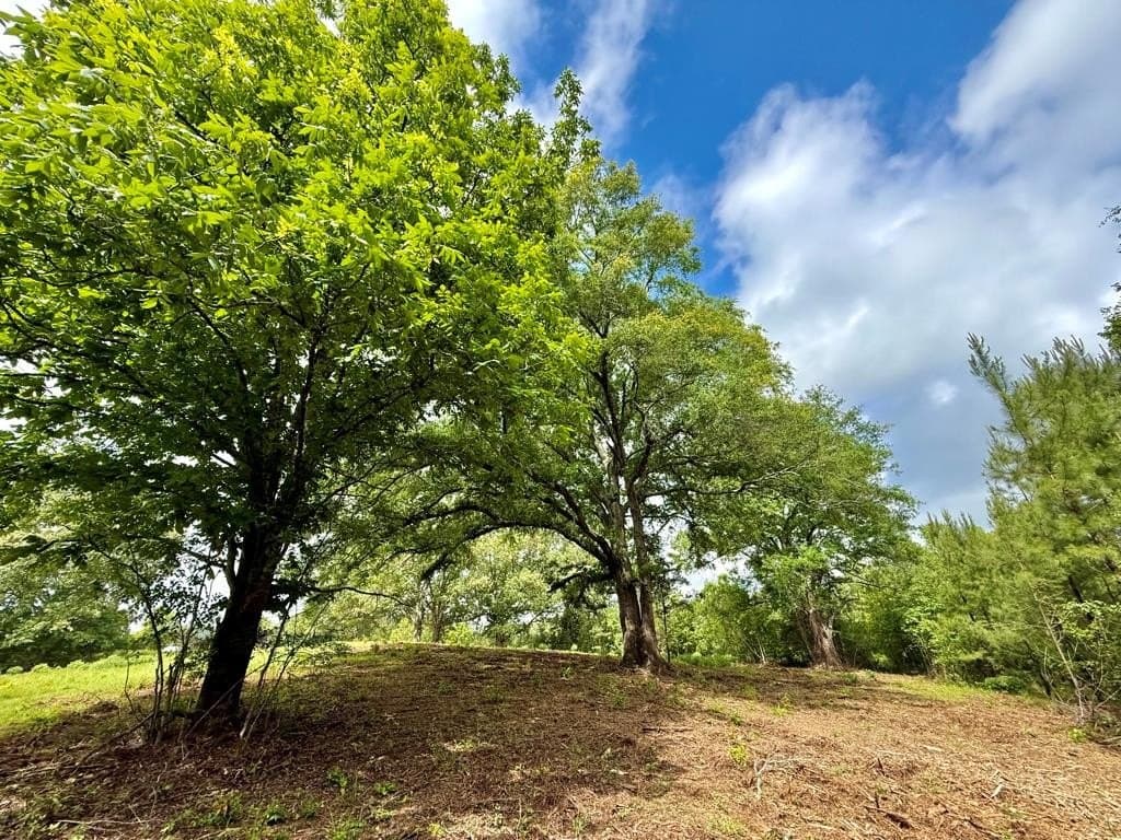 33 acres in Texas County - photo 72