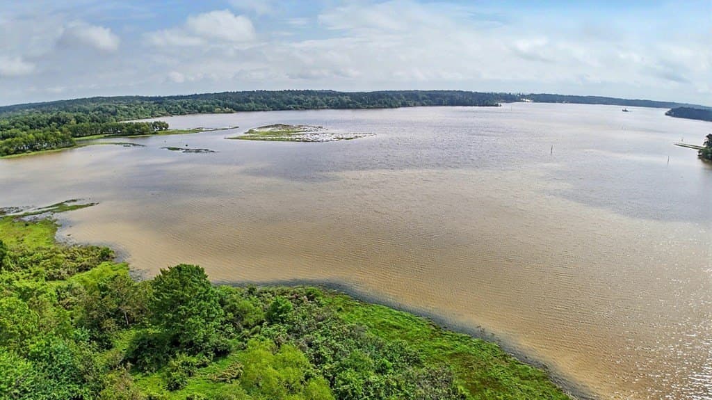 33 acres in Texas County - photo 7