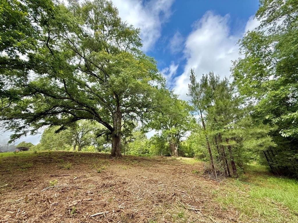 33 acres in Texas County - photo 73