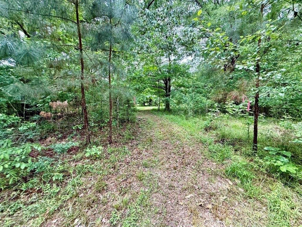 33 acres in Texas County - photo 84