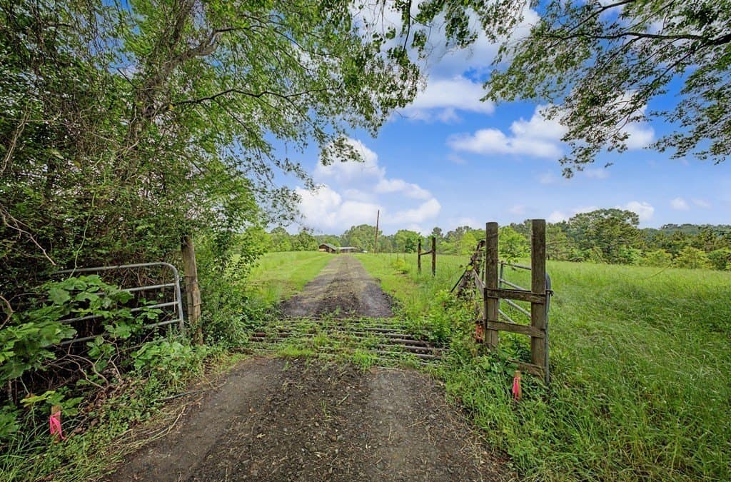 33 acres in Texas County - photo 54