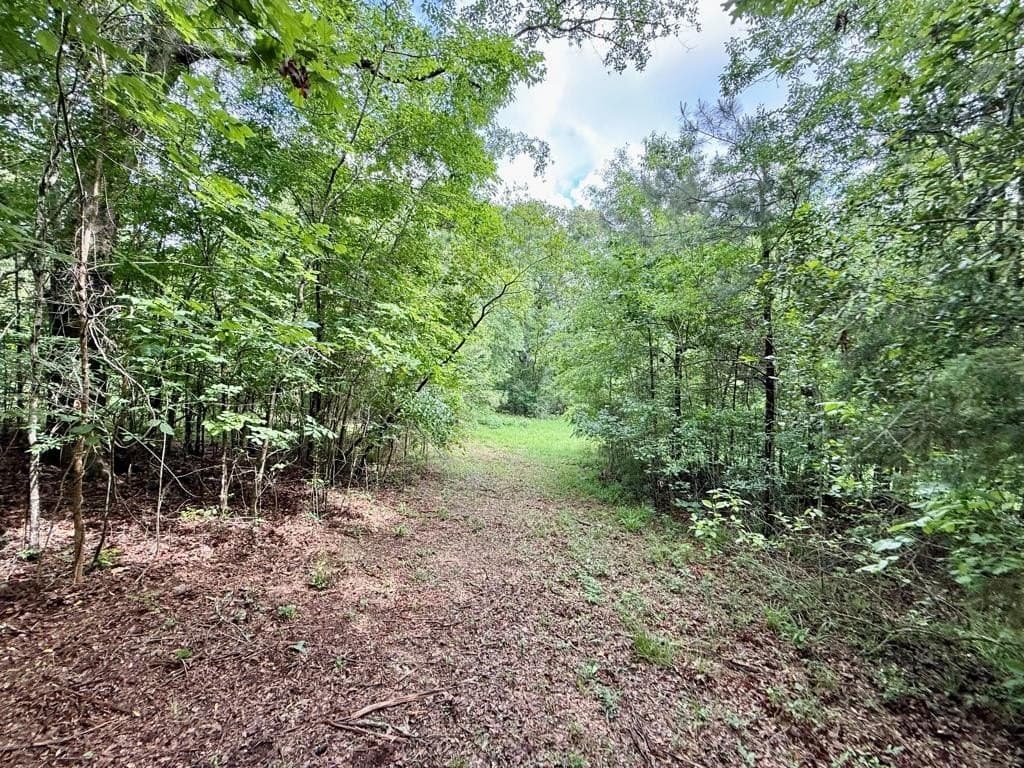 33 acres in Texas County - photo 75