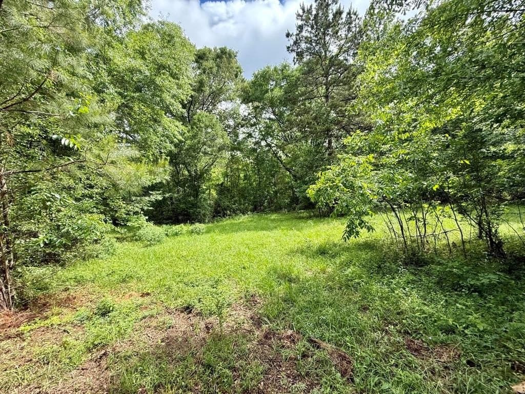 33 acres in Texas County - photo 76
