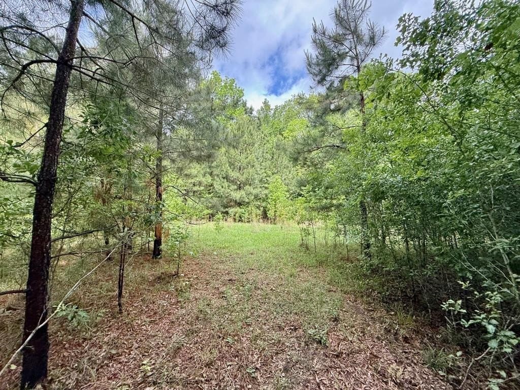 33 acres in Texas County - photo 95