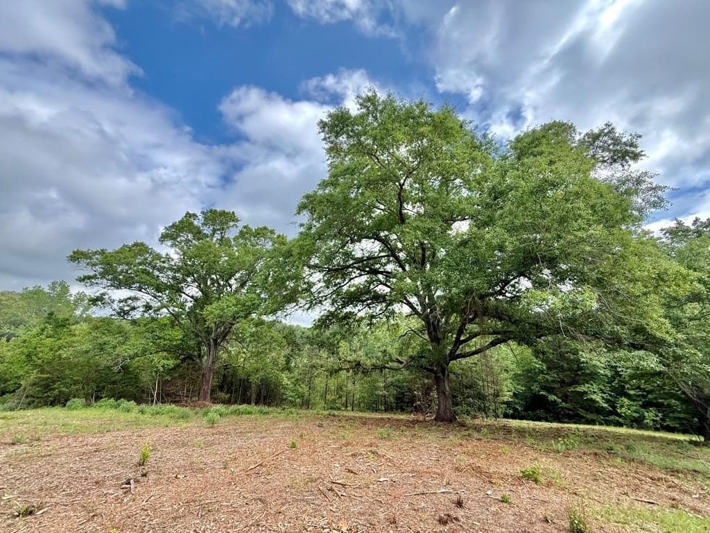 33 acres in Texas County - photo 68