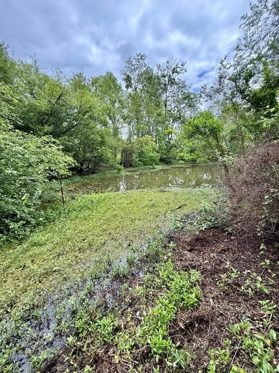 33 acres in Texas County - photo 105