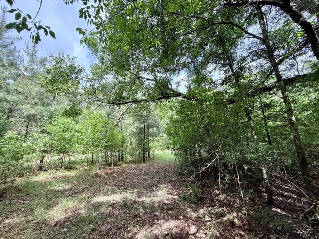 33 acres in Texas County - photo 94