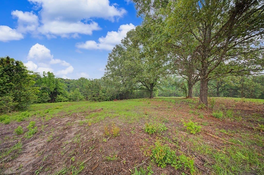 33 acres in Texas County - photo 44
