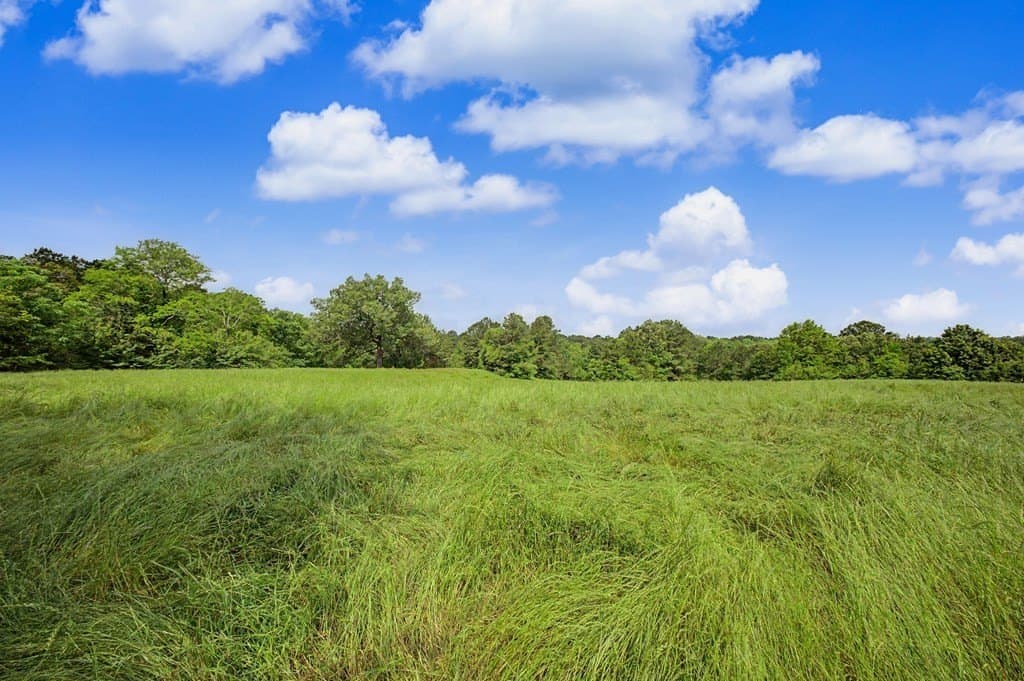 33 acres in Texas County - photo 55