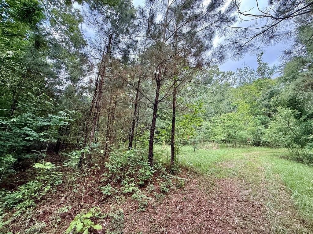 33 acres in Texas County - photo 81