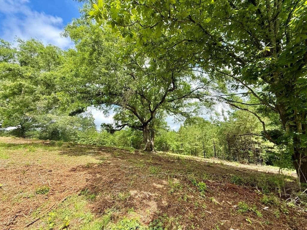 33 acres in Texas County - photo 70