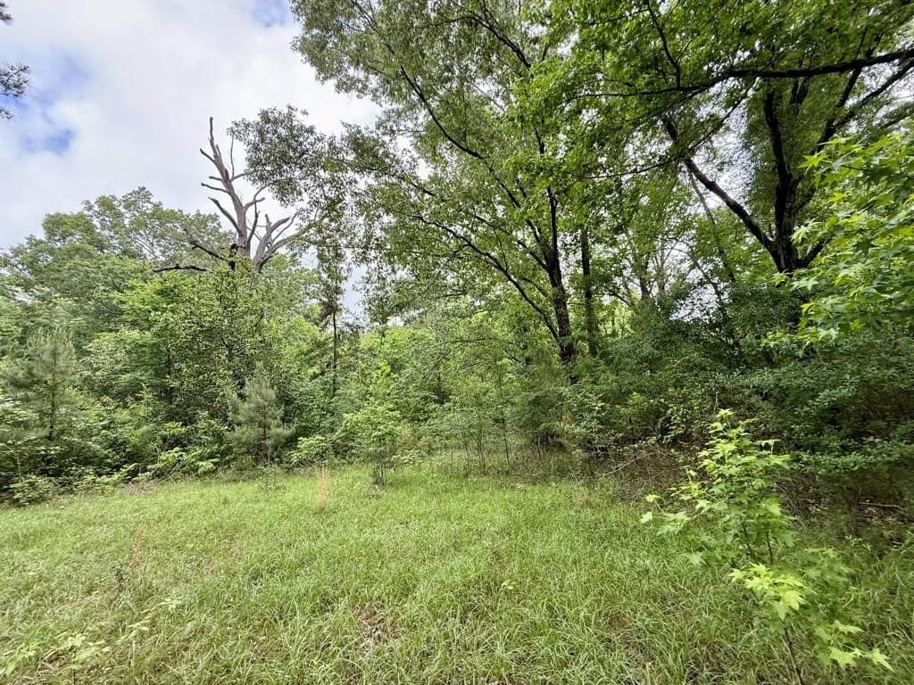 33 acres in Texas County - photo 87