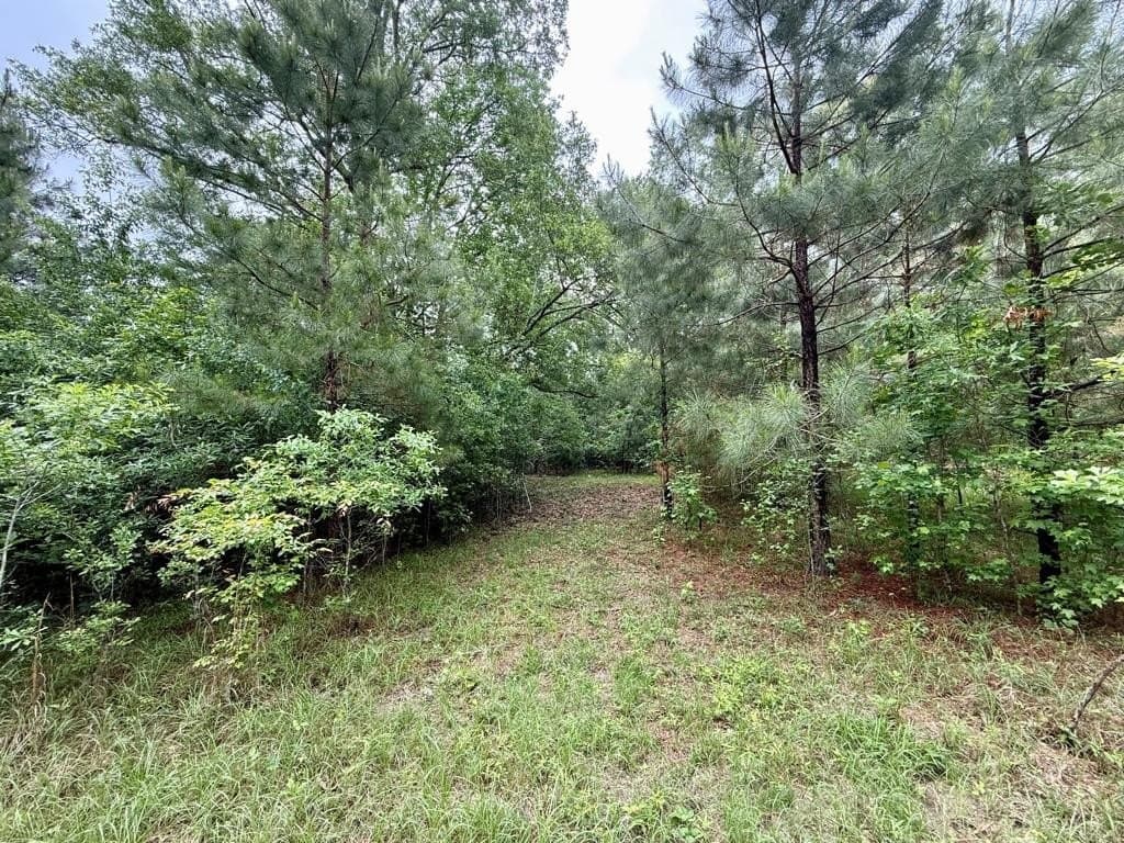 33 acres in Texas County - photo 98