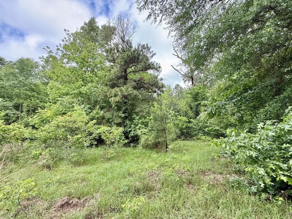 33 acres in Texas County - photo 90