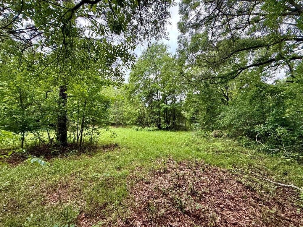 33 acres in Texas County - photo 106