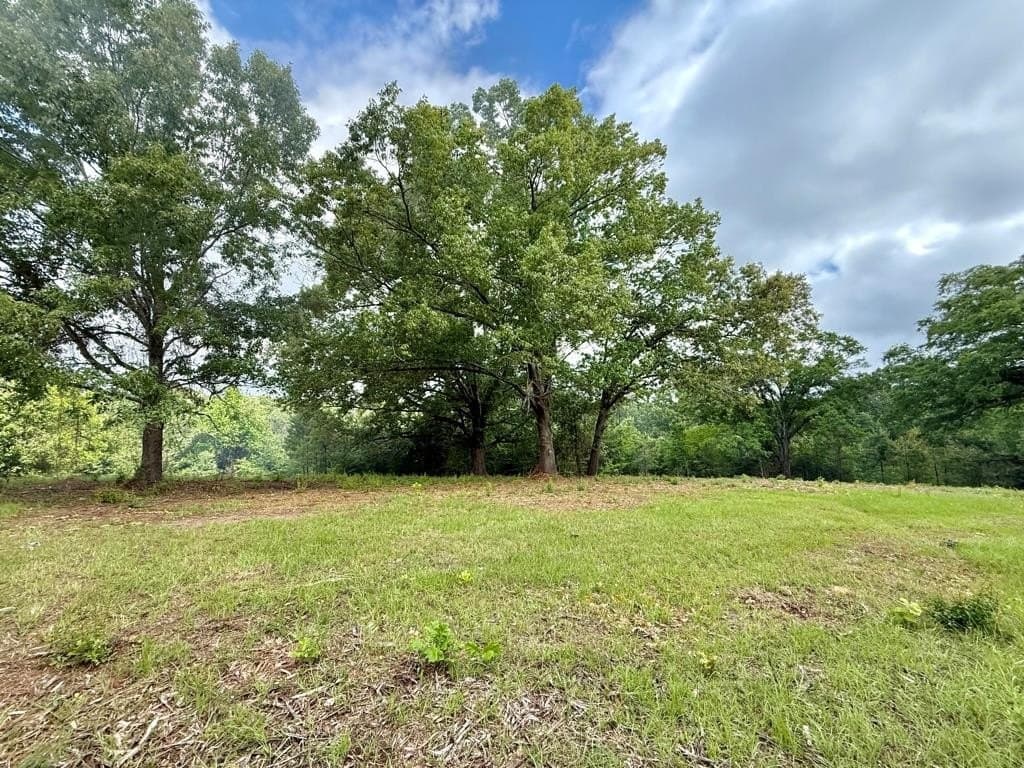 33 acres in Texas County - photo 64