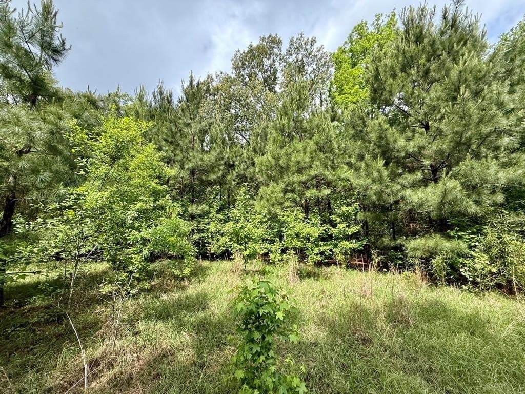 33 acres in Texas County - photo 96