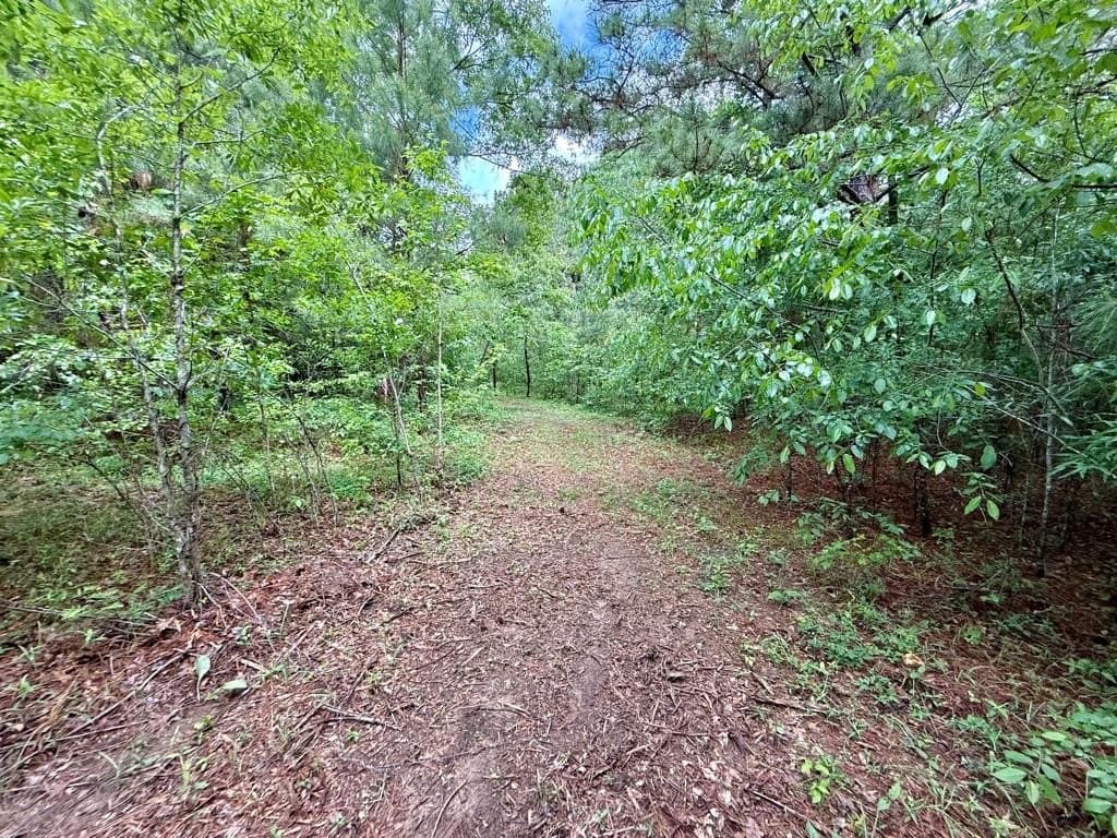 33 acres in Texas County - photo 79