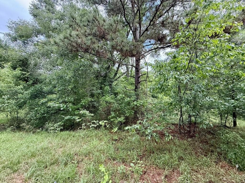 33 acres in Texas County - photo 82