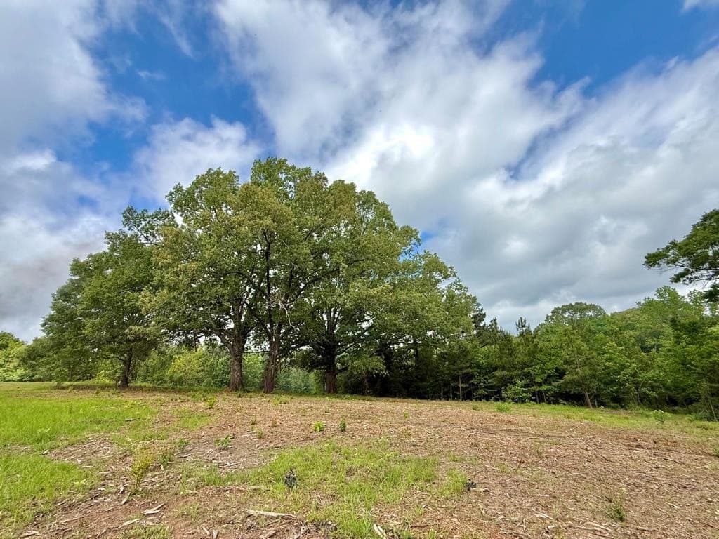 33 acres in Texas County - photo 69