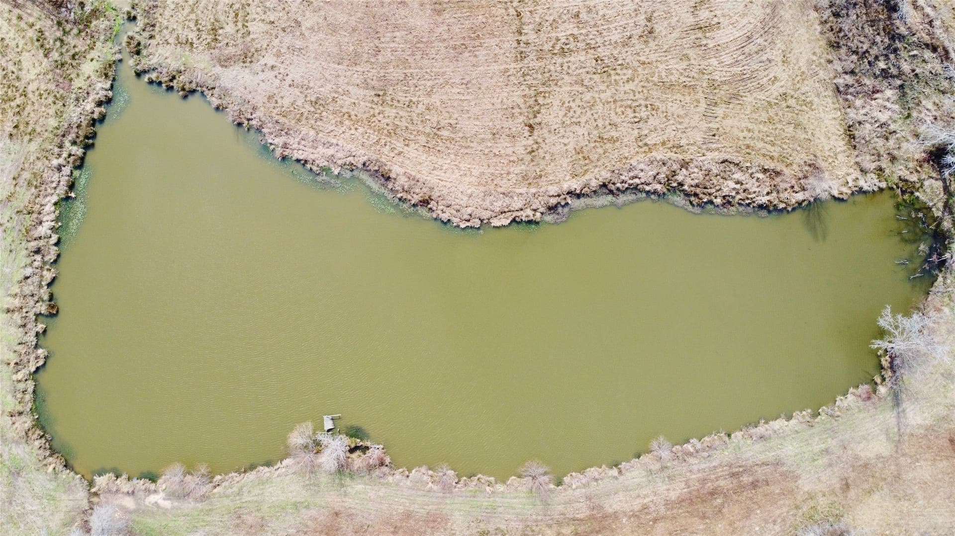 146.33 acres in Cass County gallery image 2