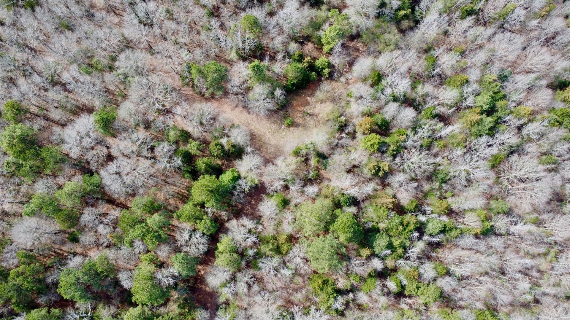 146.33 acres in Cass County featured view