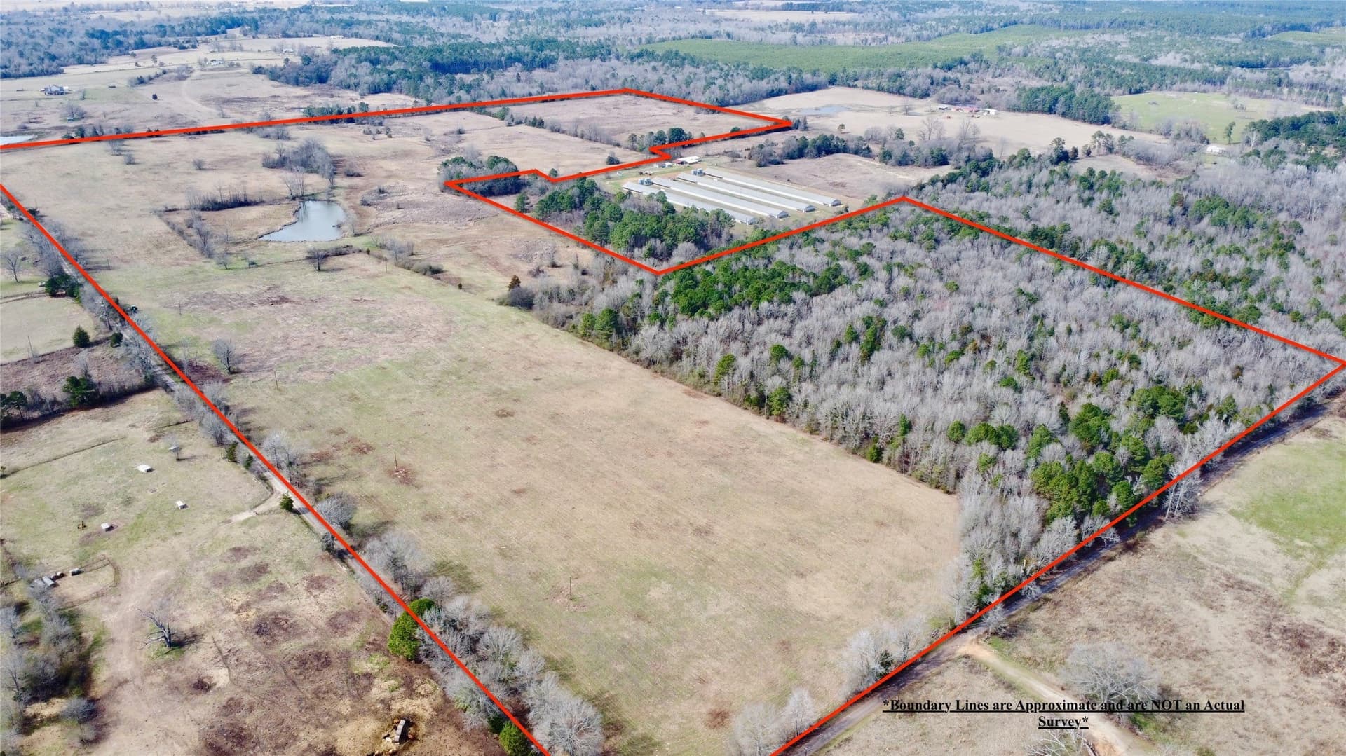146.33 acres in Cass County gallery image 4