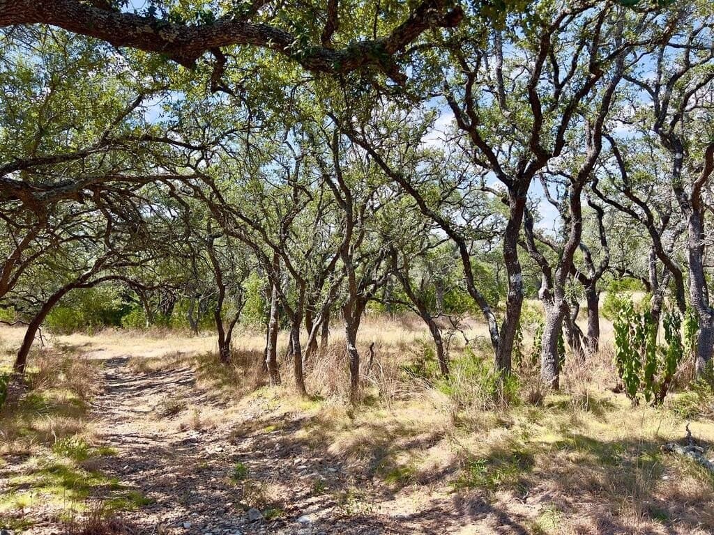 23.55 acres in Blanco County - photo 10