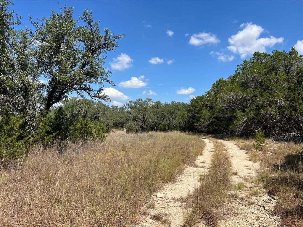 23.55 acres in Blanco County - photo 7