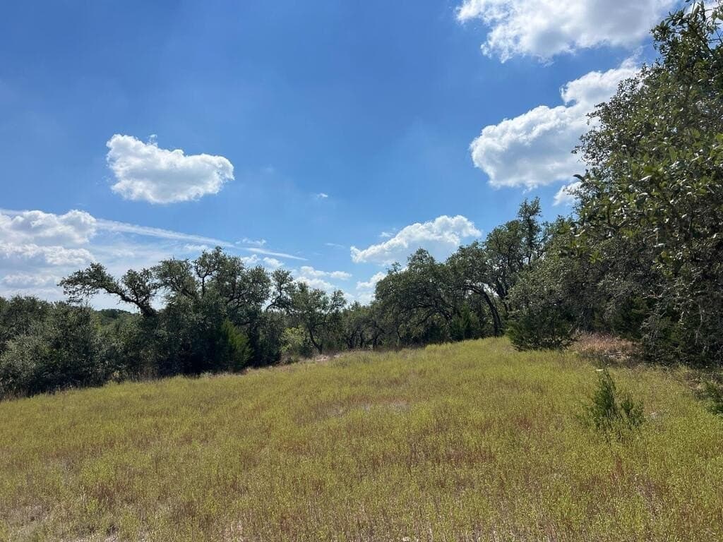 23.55 acres in Blanco County - photo 15