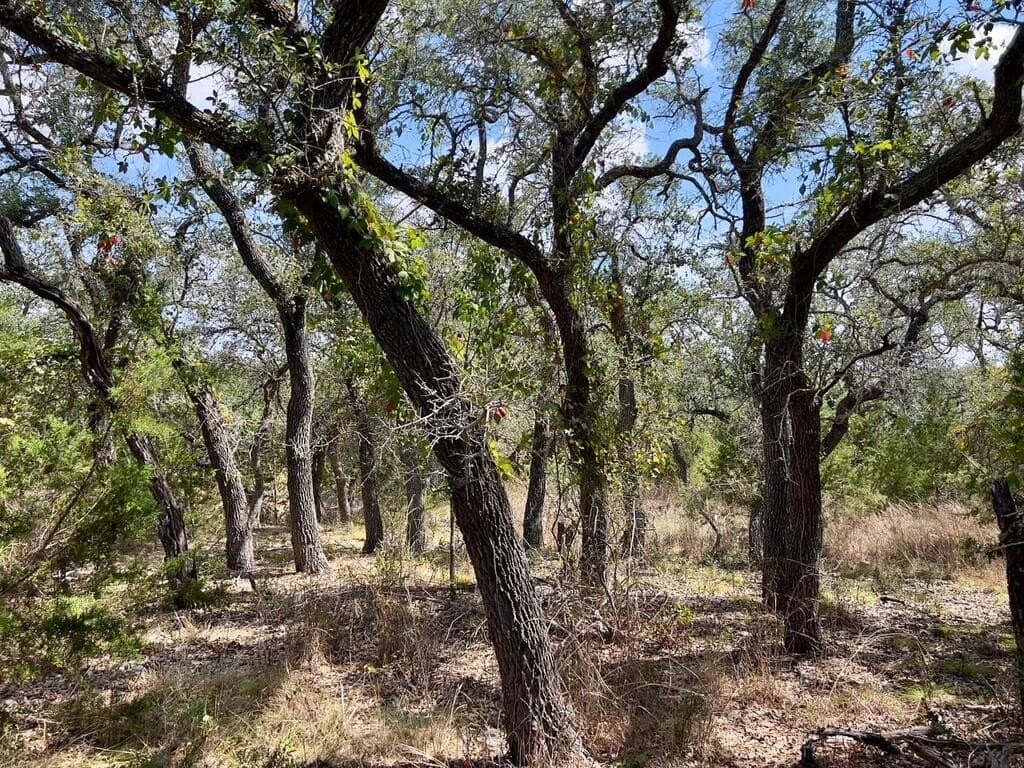 23.55 acres in Blanco County - photo 14